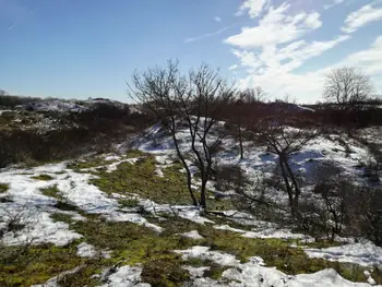 De Panne in de sneeuw (België)